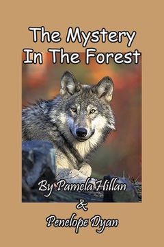 portada The Mystery In The Forest (en Inglés)