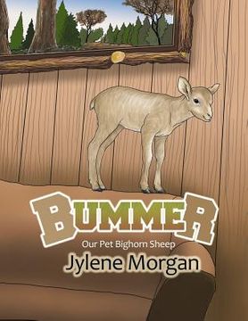 portada Bummer: Our Pet Bighorn Sheep (en Inglés)