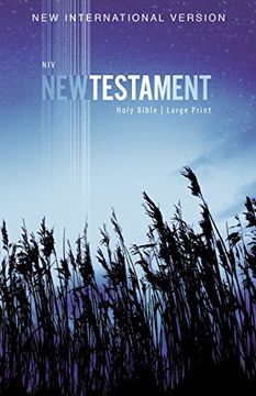 portada NIV, Outreach New Testament, Large Print, Paperback 