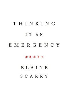 portada Thinking in an Emergency: 0 (Norton Global Ethics Series) (en Inglés)