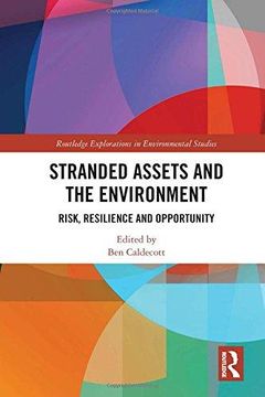 portada Stranded Assets and the Environment: Risk, Resilience and Opportunity