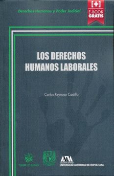 portada Los Derechos Humanos Laborales (Derechos Humanos y Poder Judicial -México-)