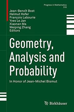 Geometry, Analysis and Probability: In Honor of Jean-Michel Bismut (Progress in Mathematics)
