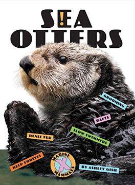 portada Sea Otters (en Inglés)
