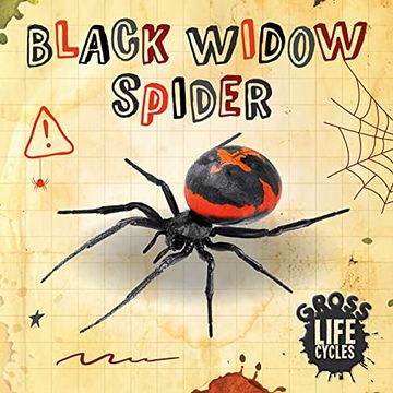 portada Black Widow Spider (Gross Life Cycles) (in English)