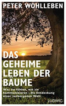 portada Das Geheime Leben der Bã¤Ume: Was sie Fã¼Hlen, wie sie Kommunizieren - die Entdeckung Einer Verborgenen Welt (in German)
