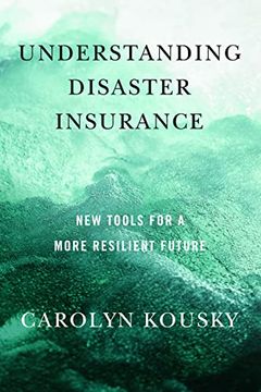 portada Understanding Disaster Insurance: New Tools for a More Resilient Future 
