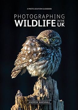 portada Photographing Wildlife in the UK: Where and How to Take Great Wildlife Photographs