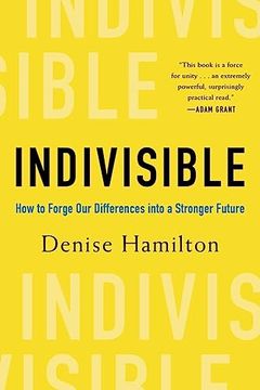 portada Indivisible: How to Forge our Differences Into a Stronger Future