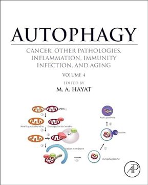 portada Autophagy: Cancer, Other Pathologies, Inflammation, Immunity, Infection, and Aging: Volume 4 - Mitophagy(Academic pr Inc) (en Inglés)