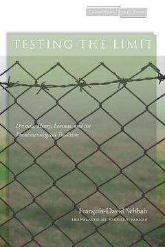 portada Testing the Limit: Derrida, Henry, Levinas, and the Phenomenological Tradition (Cultural Memory in the Present) (en Inglés)