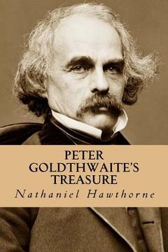 portada Peter Goldthwaite's Treasure