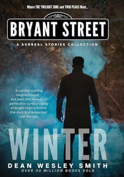 portada Winter: A Bryant Street Surreal Stories Collection (Bryant Street: The Four Seasons) (en Inglés)