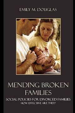 portada mending broken families: social policies for divorced families: how effective are they? (en Inglés)