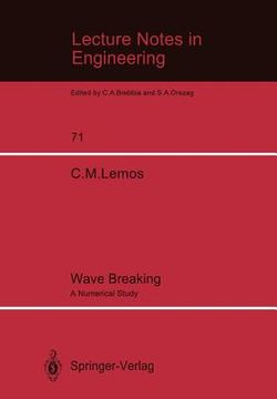 portada wave breaking: a numerical study (en Inglés)