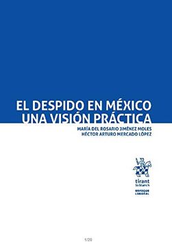 portada El Despido en México una Visión Práctica (in Spanish)