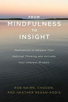 portada From Mindfulness to Insight: The Life-Changing Power of Insight Meditation (en Inglés)