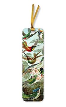 portada Ernst Haeckel: Hummingbirds Bookmarks (Pack of 10) (Flame Tree Bookmarks) (in English)
