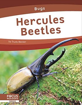 portada Hercules Beetles (Bugs) (en Inglés)