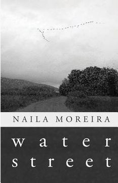 portada Water Street (en Inglés)