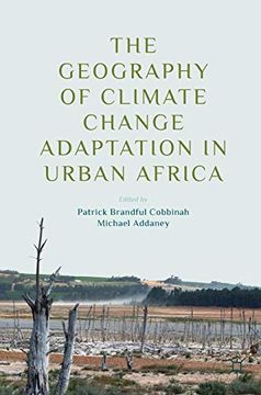portada The Geography of Climate Change Adaptation in Urban Africa (en Inglés)