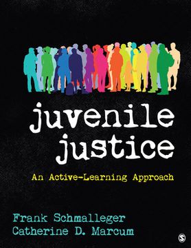 portada Juvenile Justice: An Active-Learning Approach (en Inglés)