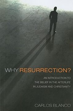 portada why resurrection?: an introduction to the belief in the afterlife in judaism and christianity (in English)