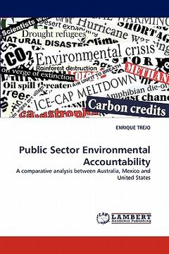 portada public sector environmental accountability (in English)