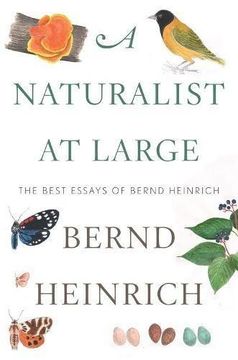 portada A Naturalist at Large: The Best Essays of Bernd Heinrich (en Inglés)