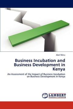 portada business incubation and business development in kenya (en Inglés)