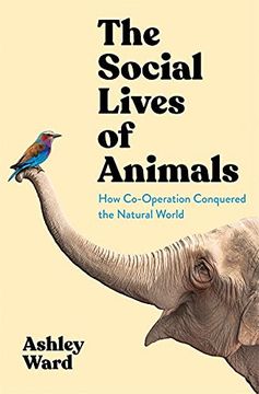 portada The Social Lives of Animals: How Co-Operation Conquered the Natural World (in English)