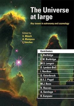 portada The Universe at Large Paperback: Key Issues in Astronomy and Cosmology 