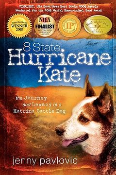 portada 8 state hurricane kate (en Inglés)