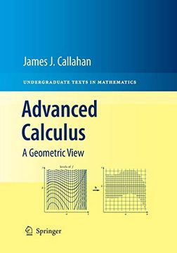 portada Advanced Calculus: A Geometric View (Undergraduate Texts in Mathematics) (in English)