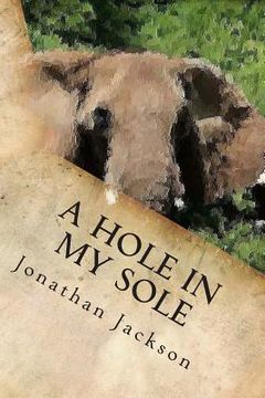 portada A Hole in My Sole (in English)