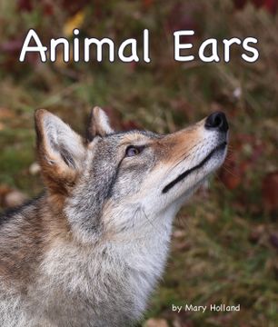 portada Animal Ears (en Inglés)