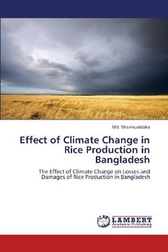 portada Effect of Climate Change in Rice Production in Bangladesh