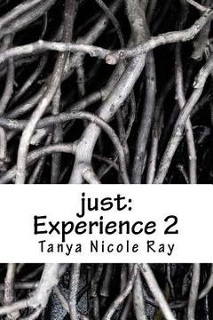 portada just: Experience 2 (in English)