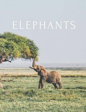 portada Elephants: A Decorative Book │ Perfect for Stacking on Coffee Tables & Bookshelves │ Customized Interior Design & Hom (en Inglés)