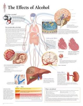 portada the effects of alcohol chart: laminated wall chart