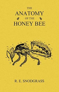 portada The Anatomy of the Honey bee (in English)