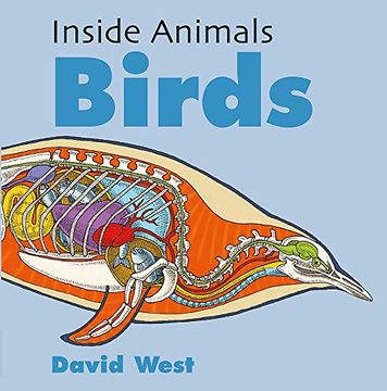portada Birds (Inside Animals) (in English)