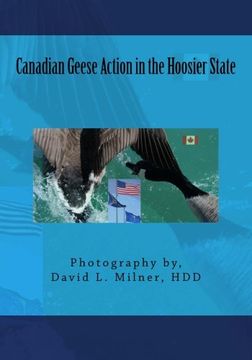 portada Canadian Geese Action in the Hoosier State