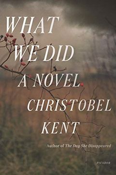 portada What we Did: A Novel (in English)