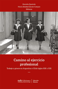 portada Camino al Ejercicio Profesional: Trabajo y Género en Argentina y Chile