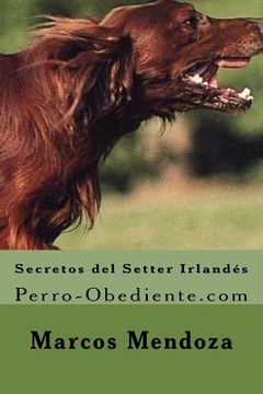 portada Secretos del Setter Irlandes: Perro-Obediente.com