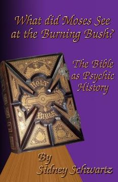 portada What Did Moses See at the Burning Bush?: The Bible as Psychic History (in English)