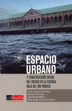 portada ESPACIO URBANO Y CONSTRUCCION SOCIAL DEL RIESGO EN LA CUENCA BAJA DEL RIO PANUCO