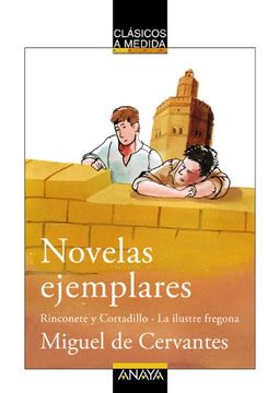 portada Novelas Ejemplares: Rinconete y Cortadillo; La Ilustre Fregona (in Spanish)