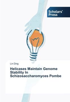 portada Helicases Maintain Genome Stability In Schizosaccharomyces Pombe